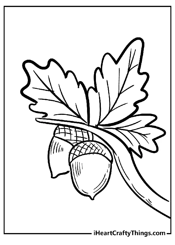 Acorn Coloring Book - 15 pages