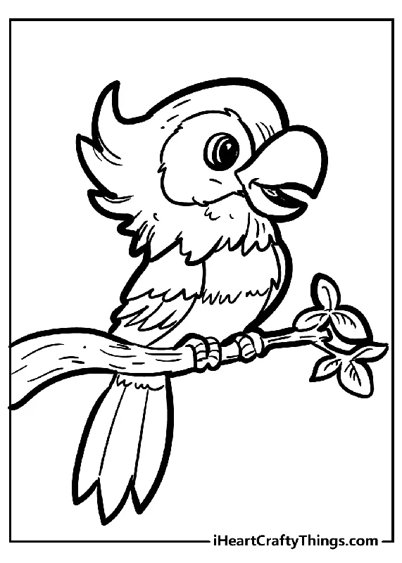 Bird Coloring Book - 44 pages