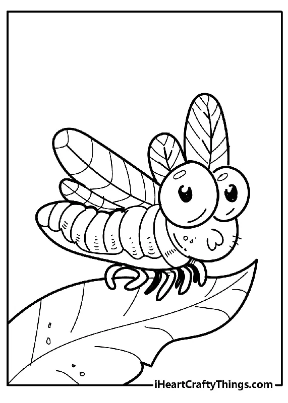 Bugs Coloring Book - 15 pages