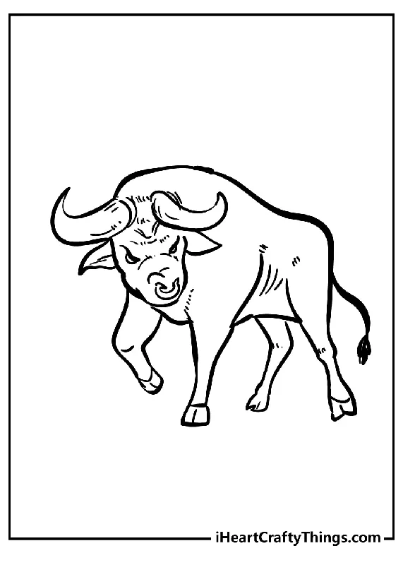 Bull Coloring Book - 15 pages