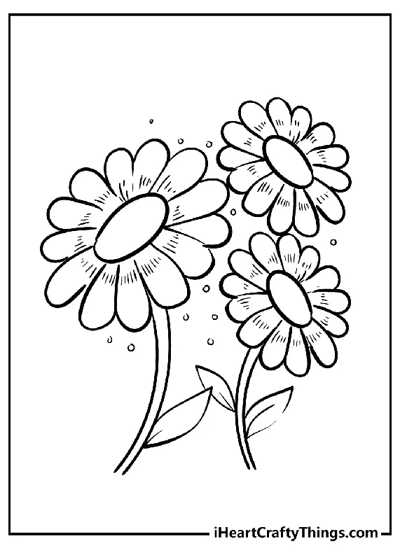 Daisy Coloring Book - 15 pages