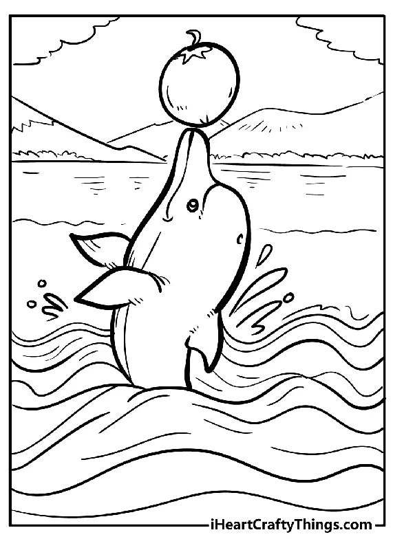 Dolphin Coloring Book - 20 pages