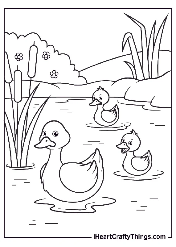 Duck Coloring Book - 15 pages