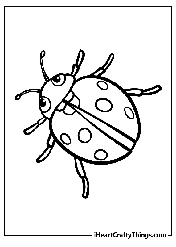 Ladybug Coloring Book - 15 pages