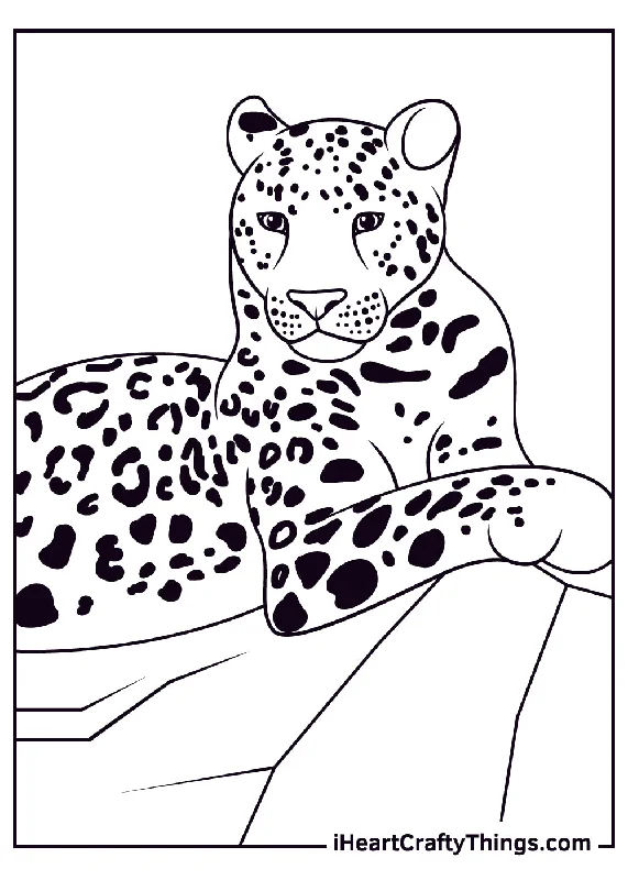 Leopards Coloring Book - 19 pages