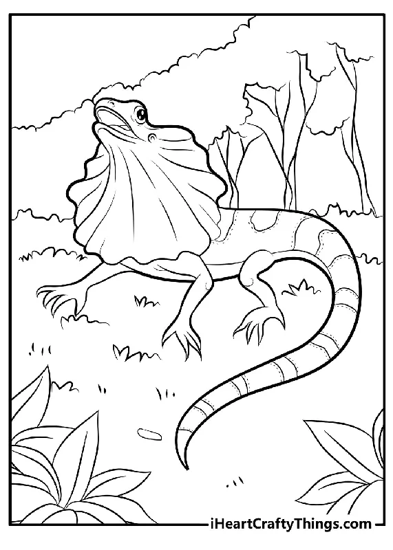 Lizard Coloring Book - 15 pages