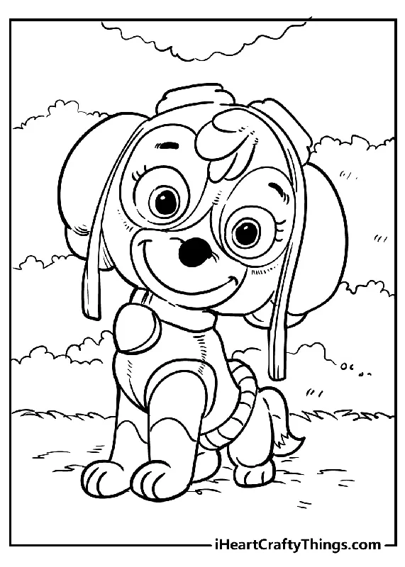 Paw Patrol Coloring Book - 45 pages