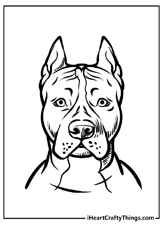 Pitbull Coloring Book - 15 pages