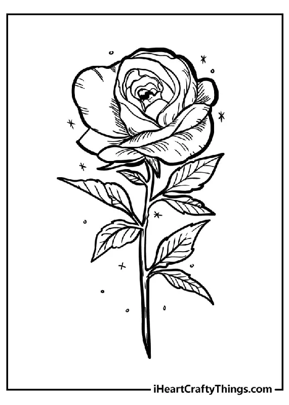 Rose Coloring Book - 35 pages