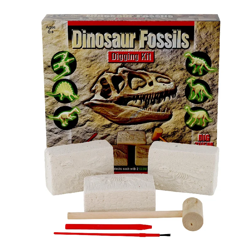 Dinosaur Fossils Digging Kit